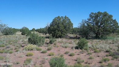 4434 Indian Bend Rd, Snowflake, AZ 85937 - photo 3