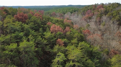 Tract 30 Deerfield Estates, Fairmount, GA 30139 - photo 2