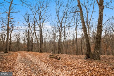 2630 Hawks Hill Ln, Keedysville, MD 21756 - photo 3