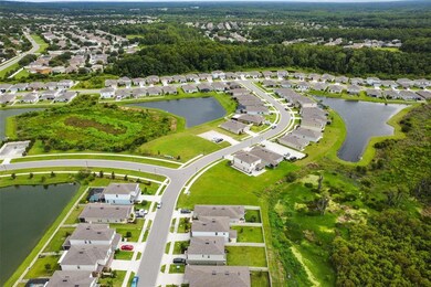 10295 Hawks Landing Dr, Land O' Lakes, FL 34638 - photo 2