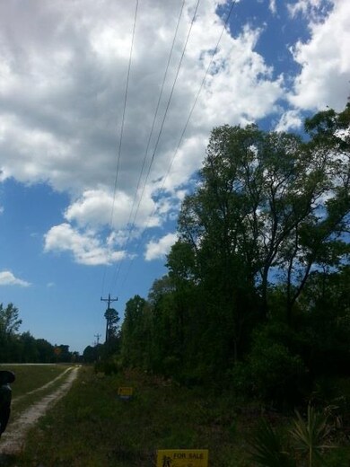 0 Seameadows Dr unit 331342, Perry, FL 32348 - photo 5