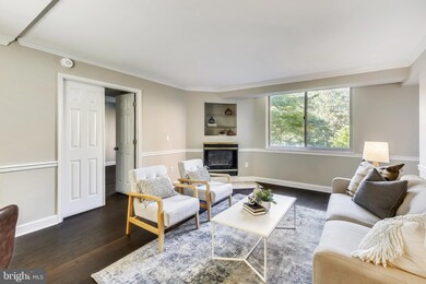 The Williamsburg unit 308, Arlington, VA 22201 - photo 4