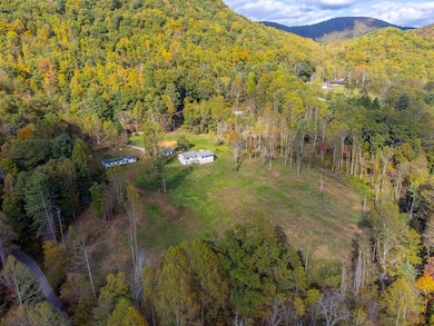 8125 Ellijay Rd, Franklin, NC 28734 - photo 3