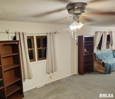 205 S 8th St unit 1, Riverton, IL 62561 - photo 6