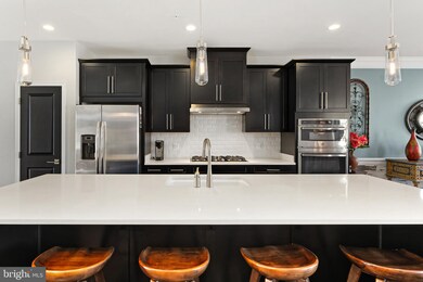 25021 Cambridge Hill Terrace, Chantilly, VA 20152 - photo 4