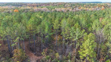 0 County Rd 95, Lafayette, AL 36862 - photo 5