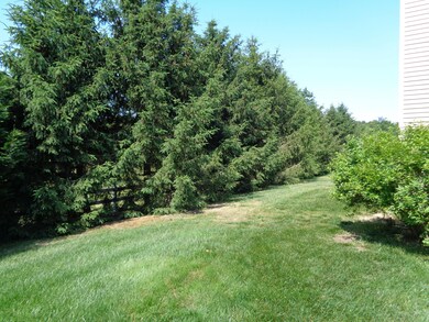 DSC00204