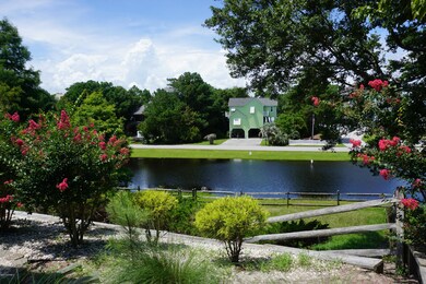 Pond Side View