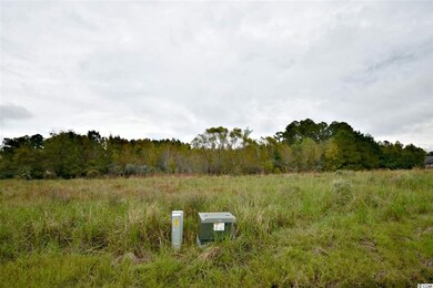 TBD Fox Chase Dr, Conway, SC 29527 - photo 6