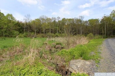 0 Ferris Ln unit 114941, Red Hook, NY 12571 - photo 4