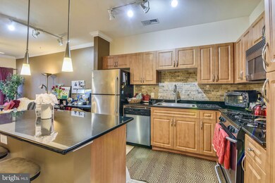 Bryson At Woodland Park unit 315, Herndon, VA 20171 - photo 4