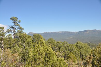 0 4230 Chipmunk Dr unit B70 16-642, Trinidad, CO - photo 2