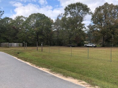 129 Scott Eubanks Rd, Lucedale, MS 39452 - photo 4