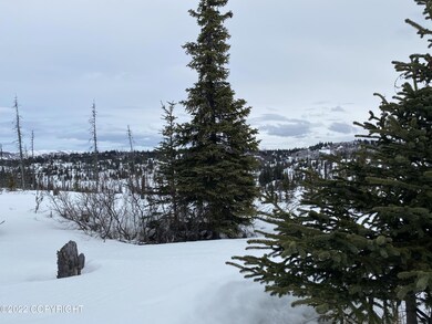 gorgeous trees