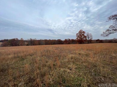 TBD Banks Rd, Hardy, AR 72542 - photo 4