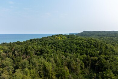 0 Pine Run Dr unit 21027042, Onekama, MI 49675 - photo 3