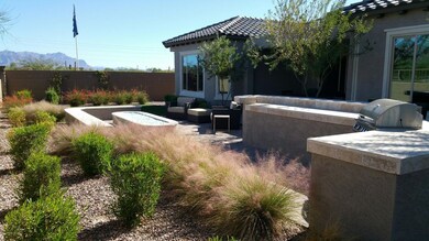 Backyard picture #2