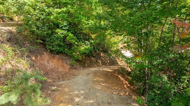 Lot 12 Cliff View Dr, Franklin, NC 28734 - photo 7