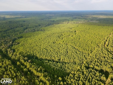 0 Neely Avera, Neely, MS 39461 - photo 2