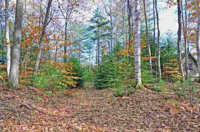 Lot#311 Beard, Grafton, NH 03240 - photo 4