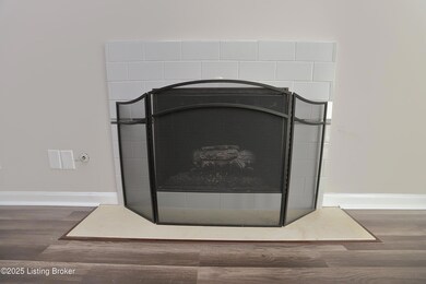 Living Room Fireplace