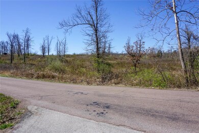 0 Cr 8170 unit MAR24016905, Newburg, MO 65550 - photo 4