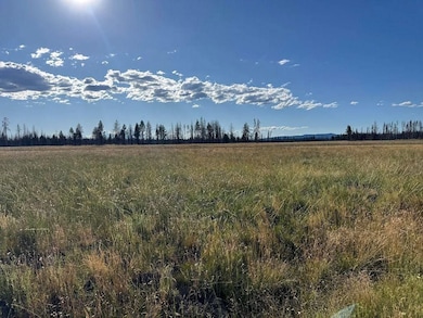 0 White Birch Way unit 25312910, Bly, OR 97622 - photo 7