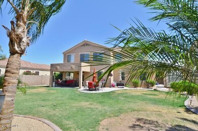 Gorgeous Backyard