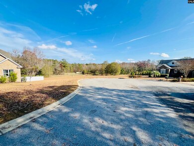 127 Deer Ridge Trail, Gilbert, SC 29054 - photo 5