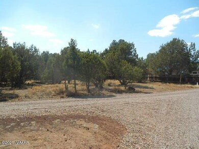 0 6th Place, Show Low, AZ 85901 - photo 5