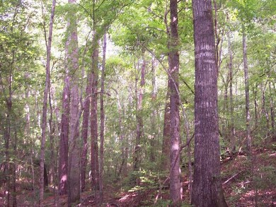 0 Madwind Point Point unit 102880, Dadeville, AL 36853 - photo 3