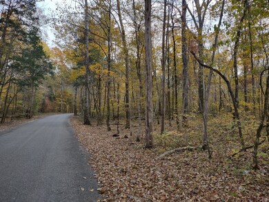 0 Milltown Rd unit RTC2453689, Lewisburg, TN 37091 - photo 4