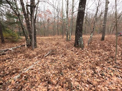 V/L 40th Ave, Merrill Township, MI 49309 - photo 5