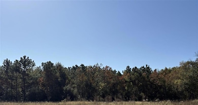 TBD Bucklin Rd, Jennings, LA 70546 - photo 3