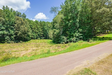 0 Hwy 22 unit 2503448, Dresden, TN 38225 - photo 5