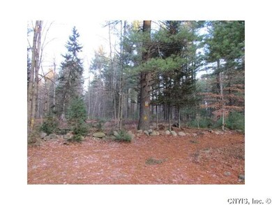 Other Side view of adjoining NYS Forest