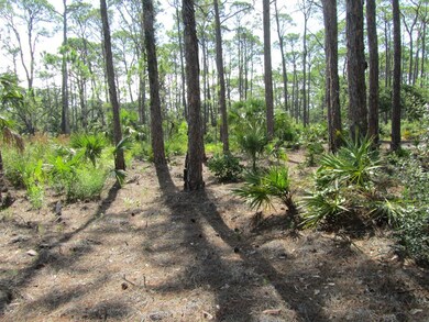 Paths invite you to walk into this two acre lot.