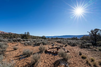 0 Tbd unit 42825, Paradox, CO 81429 - photo 4