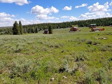 Meadow Views