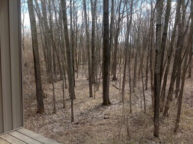 618 River Walk St unit 16, Hastings, MI 49058 - photo 5