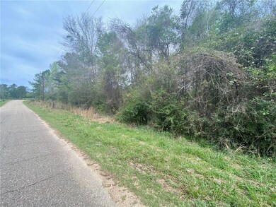 44035 Max Brumfield Rd, Franklinton, LA 70438 - photo 3