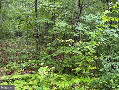 TBD Forest Dr, District 1, VA 22844 - photo 3