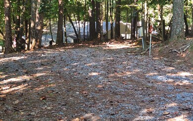 L458 23rd St, Ellijay, GA 30540 - photo 2