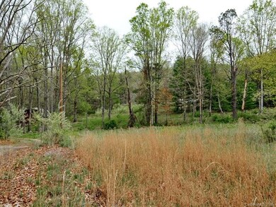 0 Sandy Hill Ln unit 3233330, Hendersonville, NC 28792 - photo 4