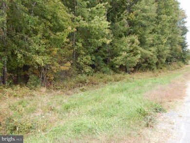 6509 Lawyers Rd, Spotsylvania, VA 22551 - photo 3