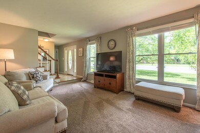DSC_6489-HDR-1