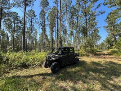 Bethlehem Rd, Equality, AL 36026 - photo 6
