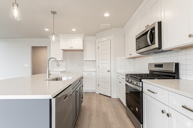 Kitchen featuring white cabinets, visible vents, light wood-style flooring, stainless steel appliances, and a sink