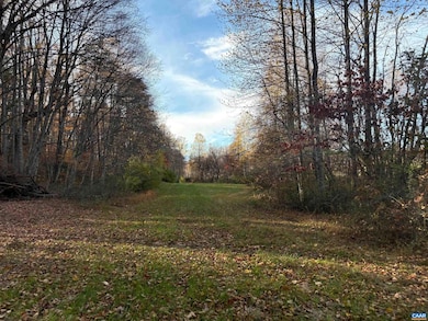 Lot E, TM 24-30 W Hoover Rd unit E, Reva, VA 22735 - photo 2