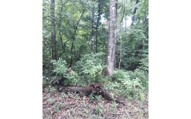 TBD California, Fort White, FL 32038 - photo 2